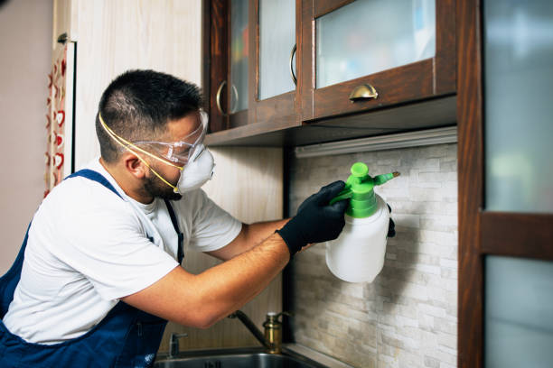 Best Best Pest Control Near Me  in Chester Center, CT