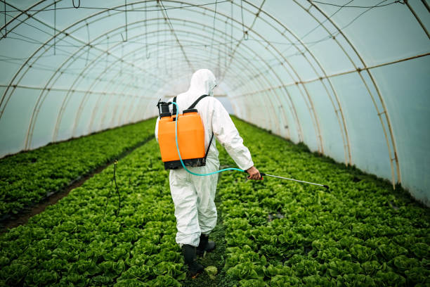 Best Pest Inspection Near Me  in Chester Center, CT