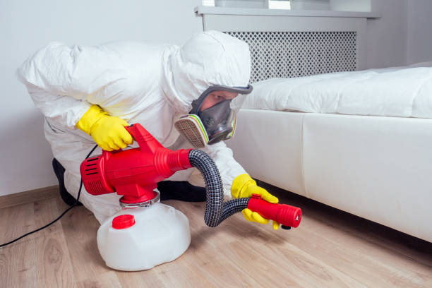 Best Termite Control Services  in Chester Center, CT