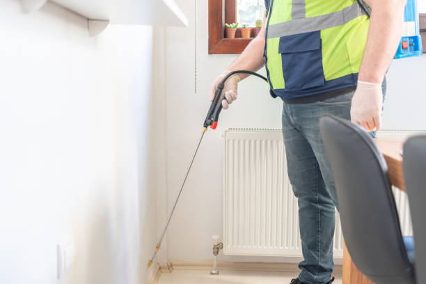 Best Ant Control Services  in Chester Center, CT