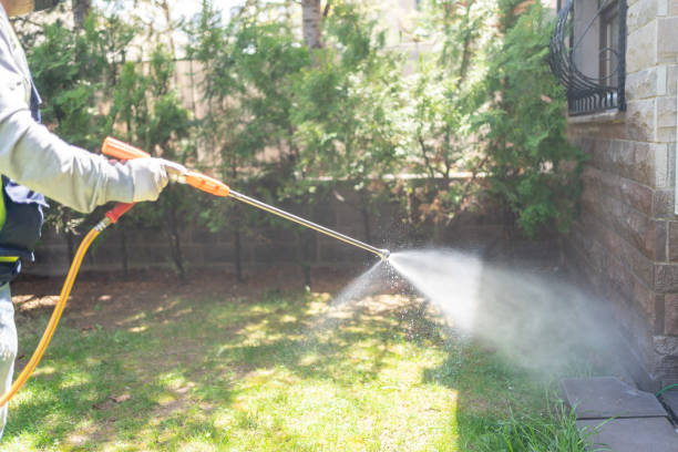 Professional Pest Control in Chester Center, CT