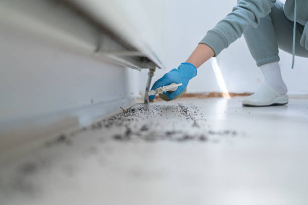 Best Pest Prevention Services  in Chester Center, CT