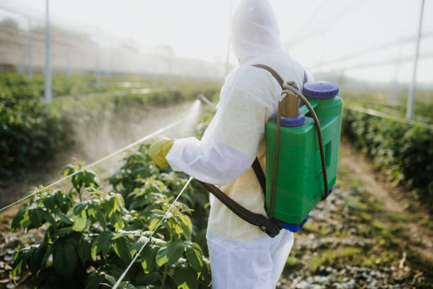 Wasp Removal Services in Chester Center, CT